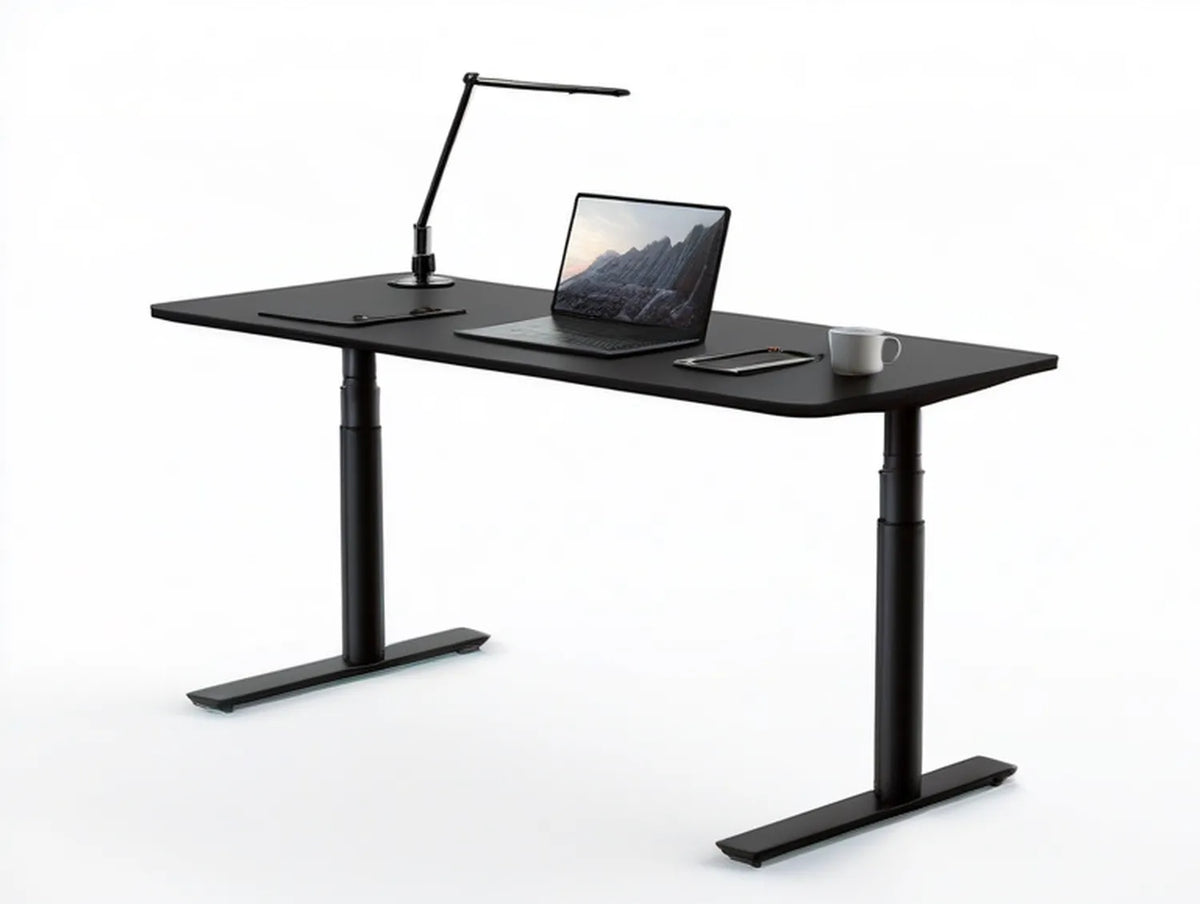 Black Electric Height-Adjustable Standing Desk with LED Task Lamp, 55.1 x 27.6 in