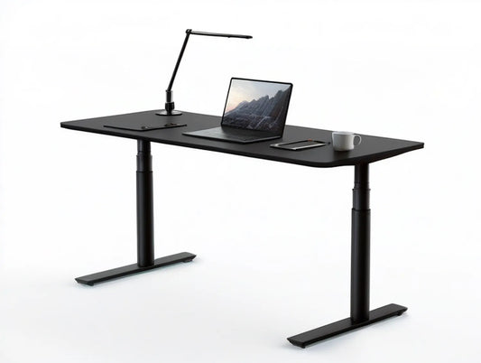 Black Electric Height-Adjustable Standing Desk with LED Task Lamp, 55.1 x 27.6 in